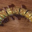22. Caterpillar Toppet Maki (8 stk)